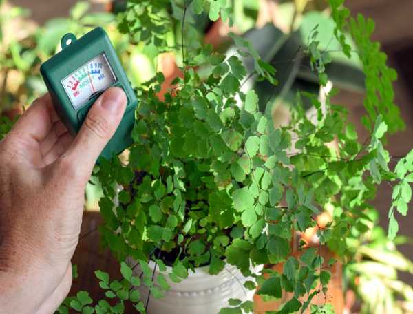 An image of soil moisture meter