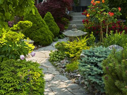 Zen garden design with plants and path